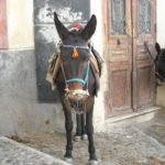 osiołek santorini