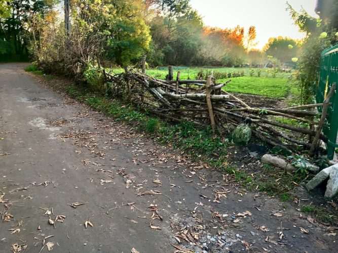 dokad na wycieczke rowerowa w okolicach warszawy