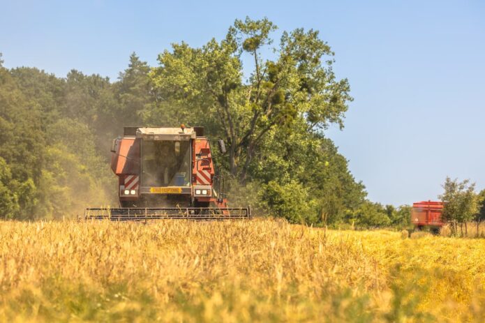 dziecko wpadło pod kombajn