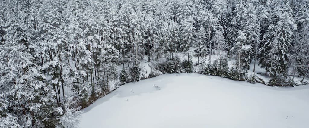 górski krajobraz las śnieg