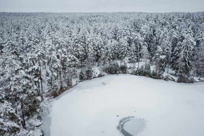 górski krajobraz las śnieg